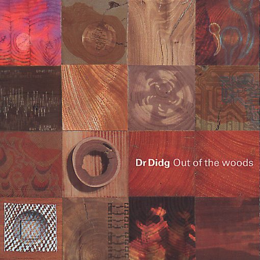 Dr. Didg - Out Of The Woods (CD, Album) (Near Mint (NM or M-))