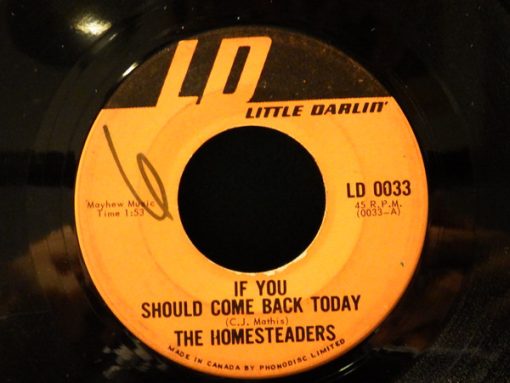 The Homesteaders - If You Should Come Back Today (7", Single) (Very Good (VG))