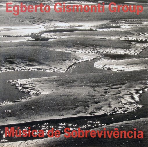 Egberto Gismonti Group - Música De Sobrevivência (CD, Album) (Near Mint (NM or M-))