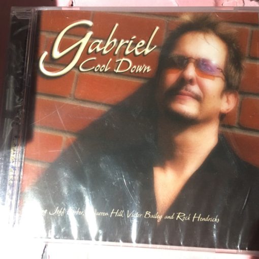 Gabriel Mark Hasselbach - Cool Down (CD, Album) (Near Mint (NM or M-))