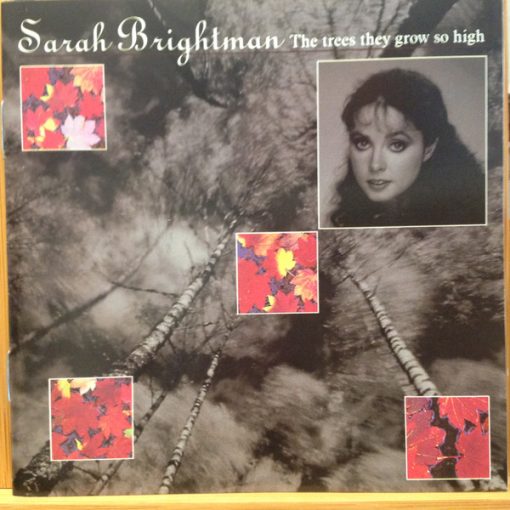 Sarah Brightman - The Trees They Grow So High (CD, Album, RE) (Near Mint (NM or M-))