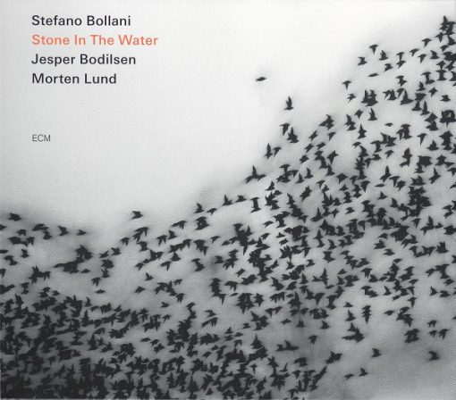 Stefano Bollani Trio - Stone In The Water (CD, Album) (Mint (M))