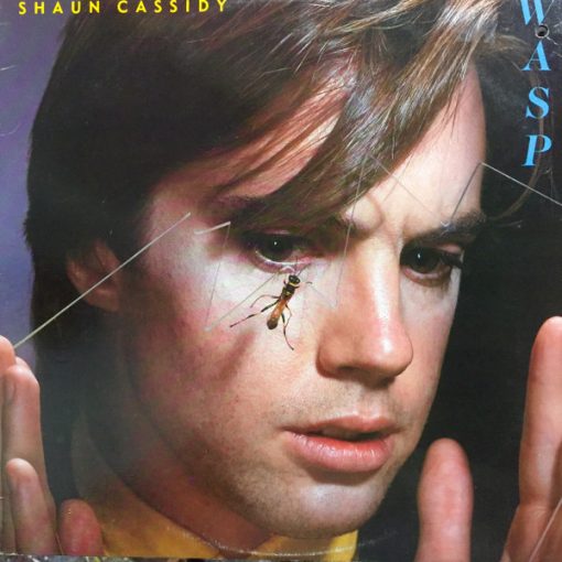 Shaun Cassidy - Wasp (LP, Album) (Mint (M))