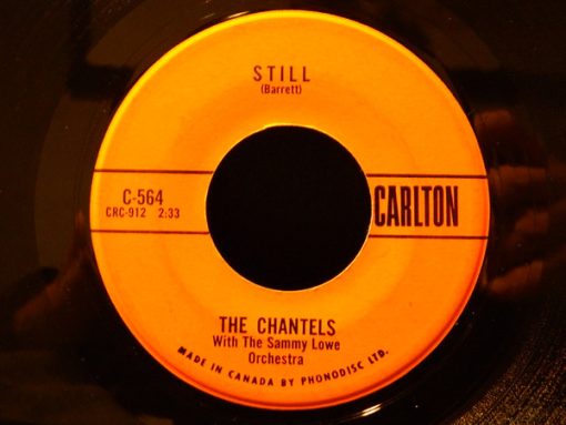 The Chantels with The Sammy Lowe Orchestra - Still / Well, I Told You (7", Single) (Very Good Plus (VG+))